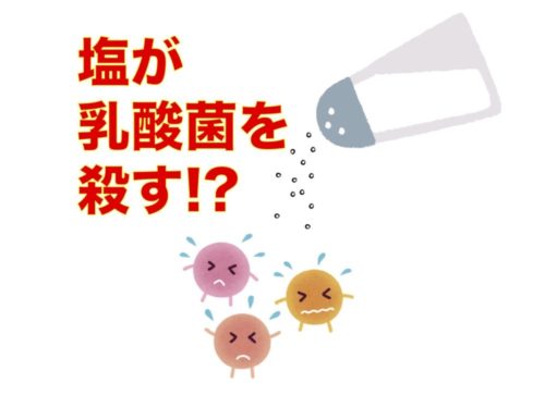 腸内環境・乳酸菌最前線2021