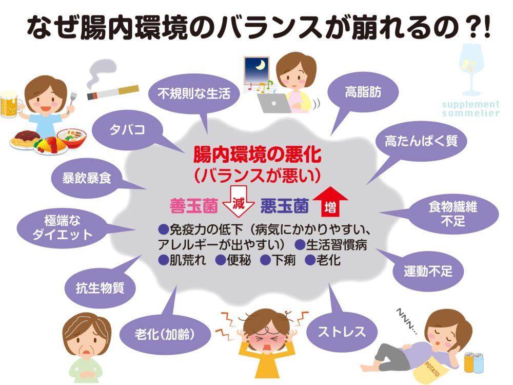 腸年齢の簡単なチェック方法と健康なうんちの色 【サプリメントの教科書】効果が出るサプリの飲み方をアクセス数日本一